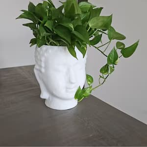 Zen Buddha Head Planter – Indoor Tranquility Decor